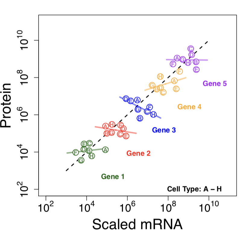 post-transcriptional-regulation-across-human-tissues-alexander-franks